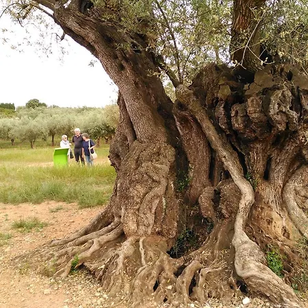 Casa Rustic Suites, Jacuzi & Love * Chert