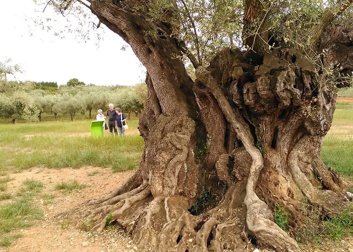 Casa Rustic Suites, Jacuzi & * Chert